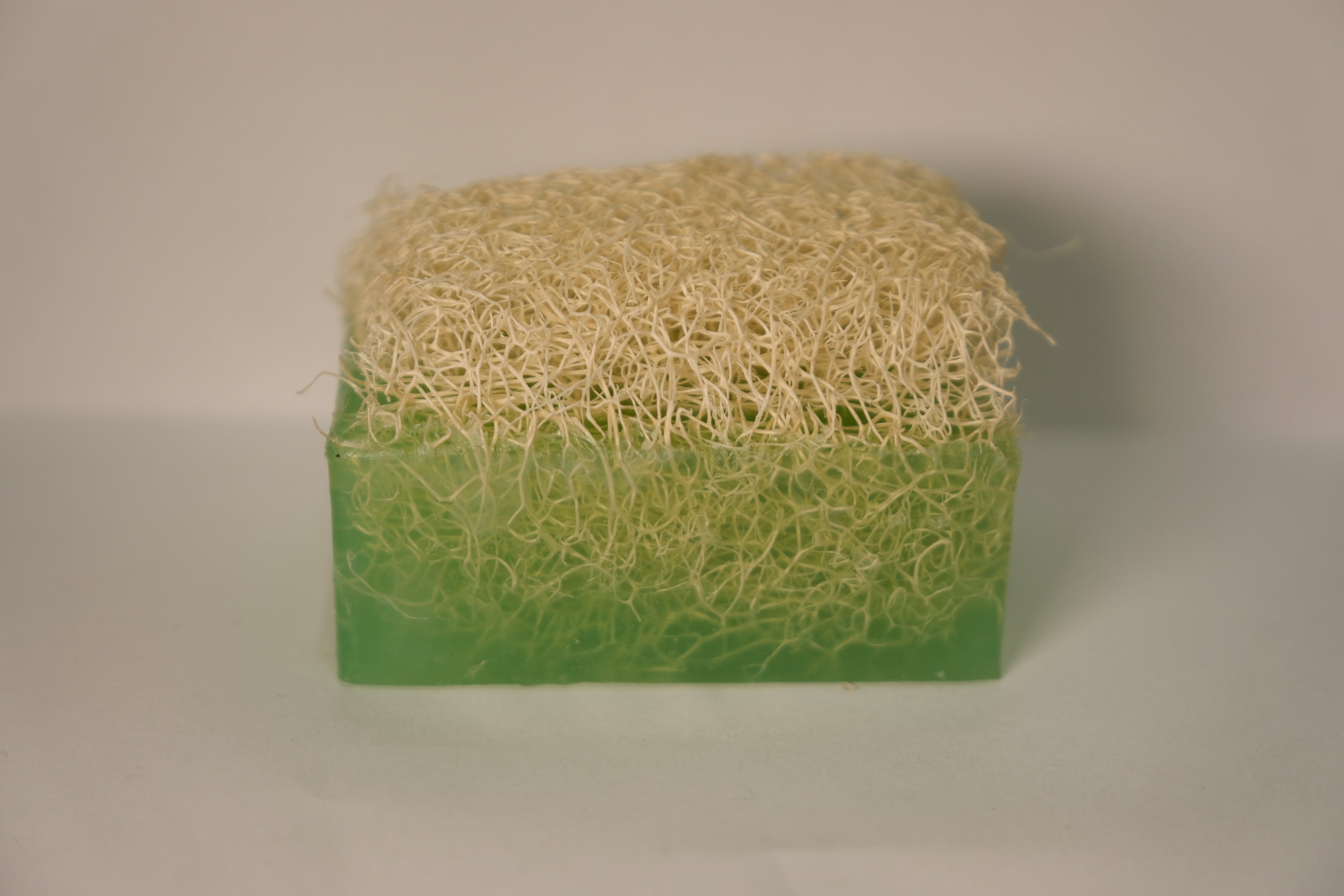 ALOEVERA SABUNU 160GR