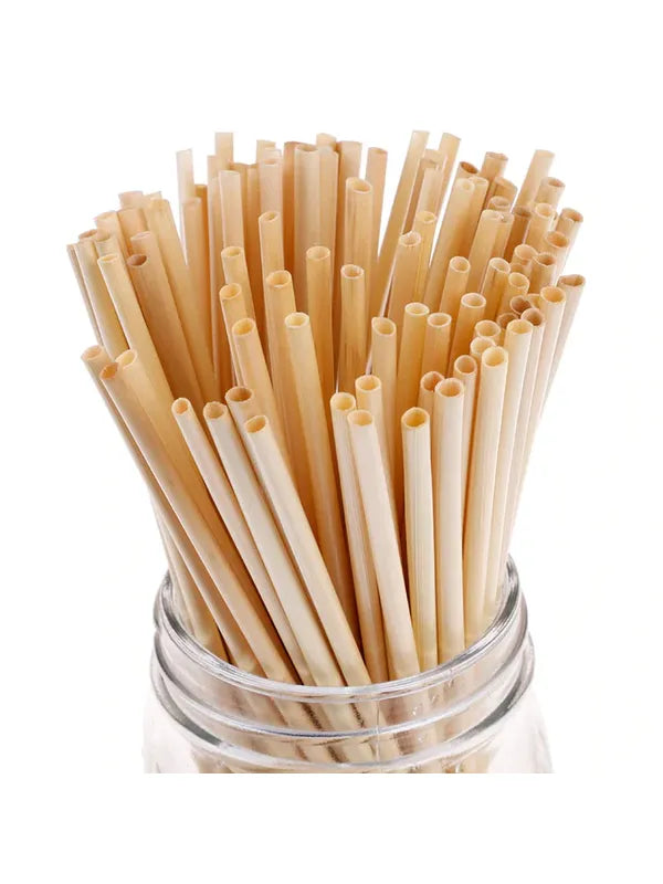 10 Adet Buğday Sapı Pipet-20cm