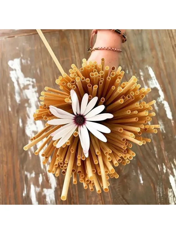 10 Adet Buğday Sapı Pipet-20cm